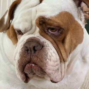 Meet your Posher, Ari